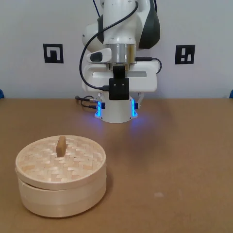 Pi 0.5 pick-fruit rollout at 0 seconds